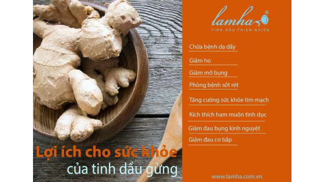 Lợi ích cho sức khỏe của tinh dầu gừng